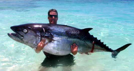 Tonen verzoek Nationaal tonijn soort