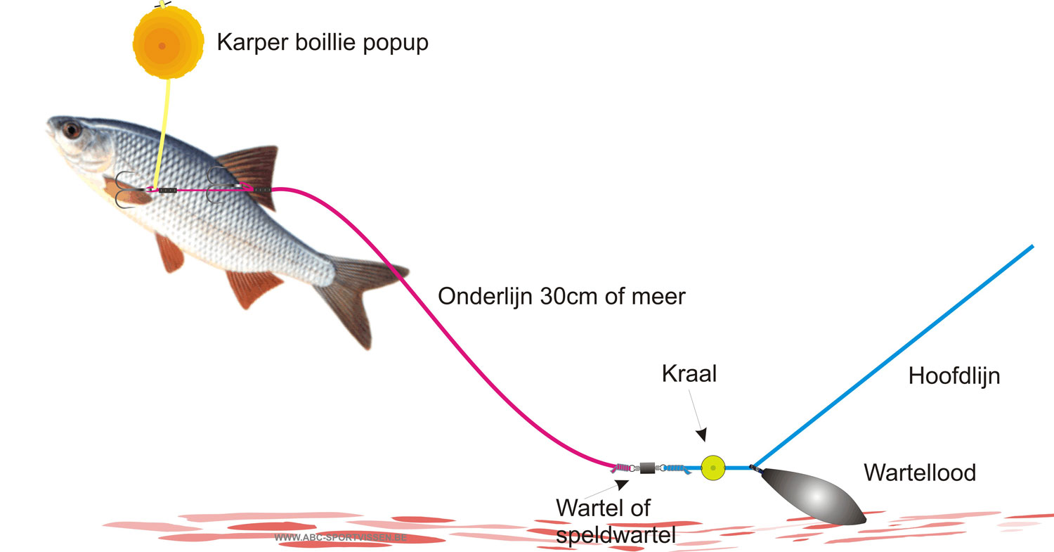 Snoekbaars vangen met levend aas