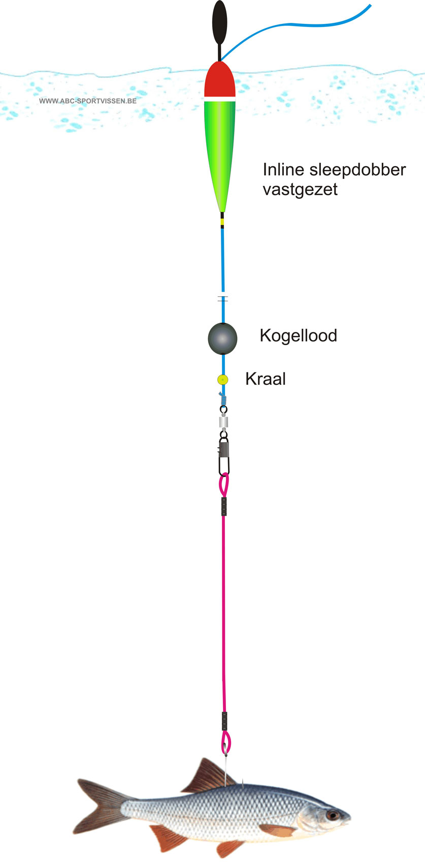 AJF,werphengel dobber