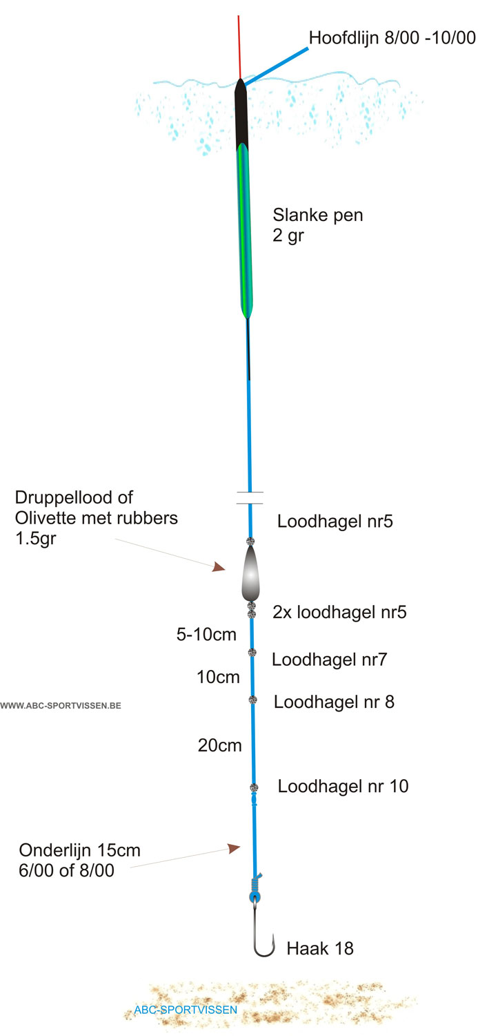 elastiek hengel,therugbycatalog.com