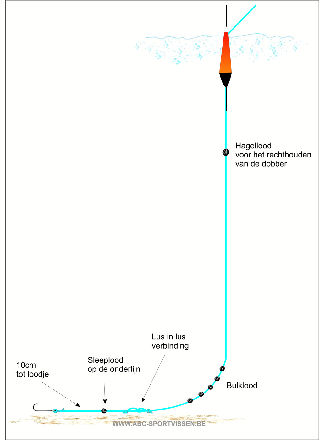 Bemiddelen Inefficiënt Ronde witvissen met werphengel,Quality assurance,cesinaction.org